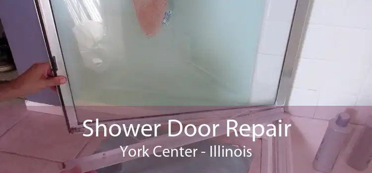 Shower Door Repair York Center - Illinois