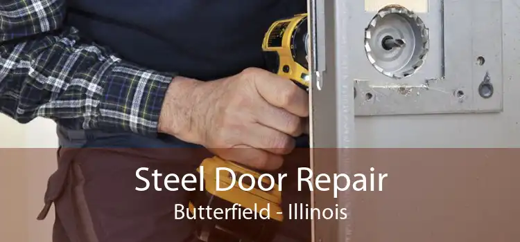 Steel Door Repair Butterfield - Illinois