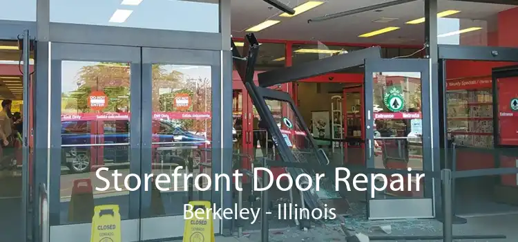 Storefront Door Repair Berkeley - Illinois