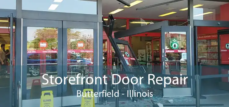 Storefront Door Repair Butterfield - Illinois