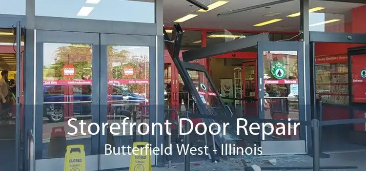 Storefront Door Repair Butterfield West - Illinois