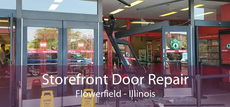 Storefront Door Repair Flowerfield - Illinois