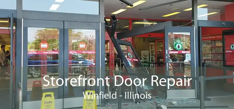 Storefront Door Repair Winfield - Illinois