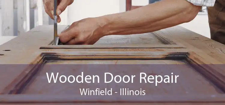 Wooden Door Repair Winfield - Illinois